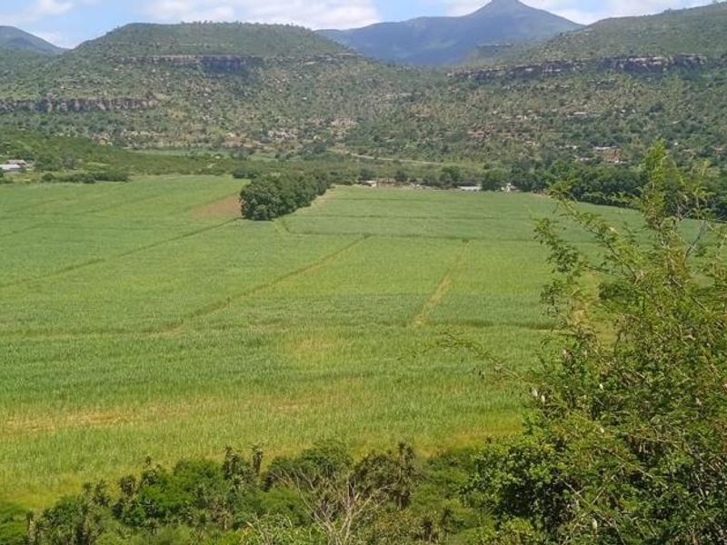 A scenic elevated view overlooking expansive green agricultural fields set against a backdrop of rolling mountains and natural landscape.