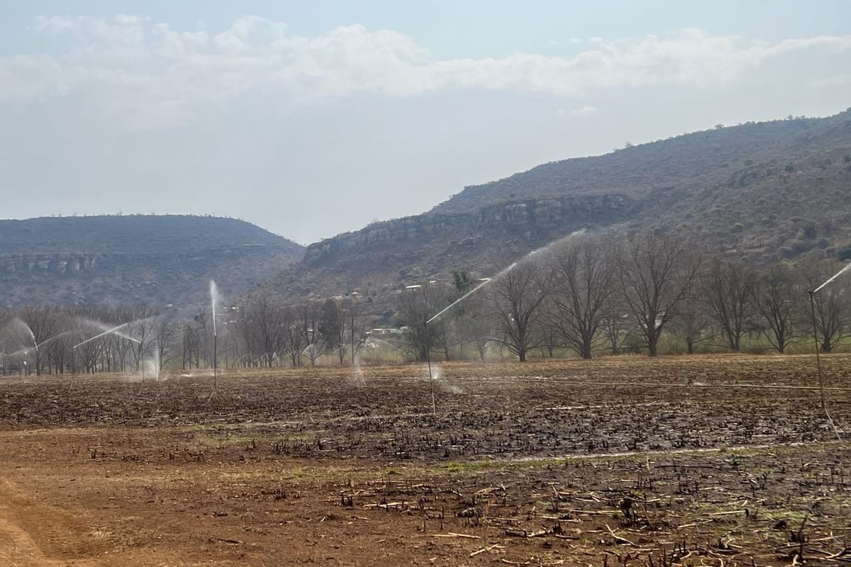 A wide view of agricultural farmland featuring an active irrigation system with mountain scenery in the background.