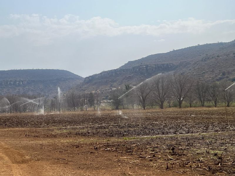 A wide view of agricultural farmland featuring an active irrigation system with mountain scenery in the background.