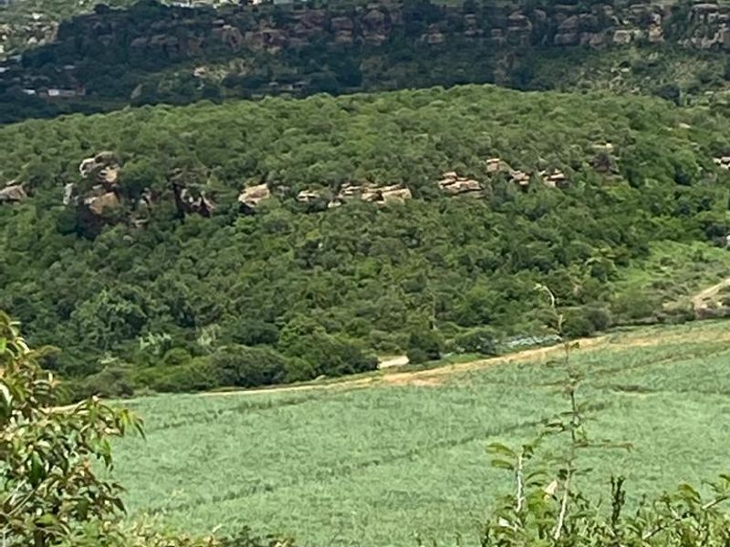 A scenic landscape view overlooking lush green fields, dense forest, and rocky hills in the distance.