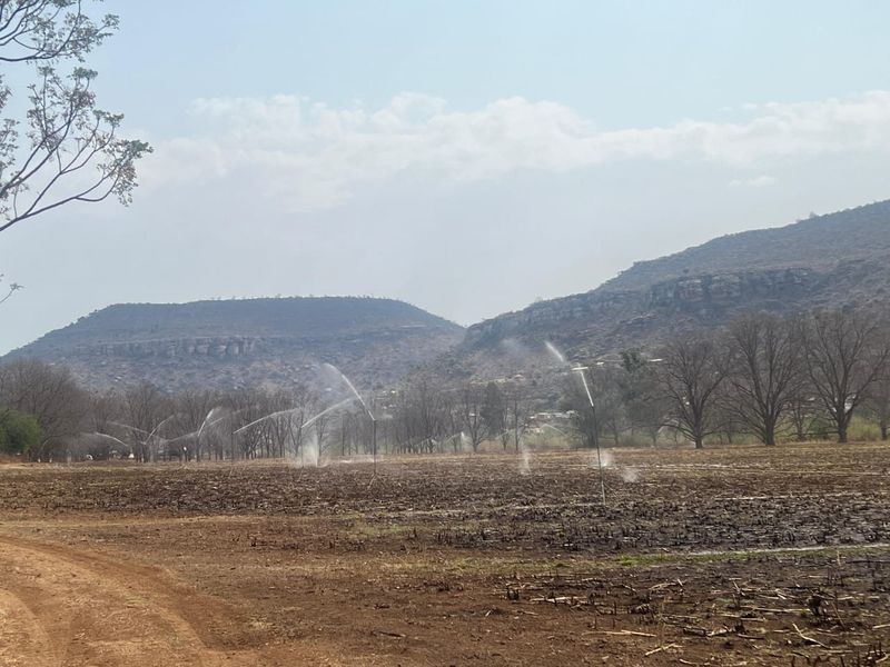 A wide view of an agricultural farm field featuring an active irrigation system with mountain scenery in the background.