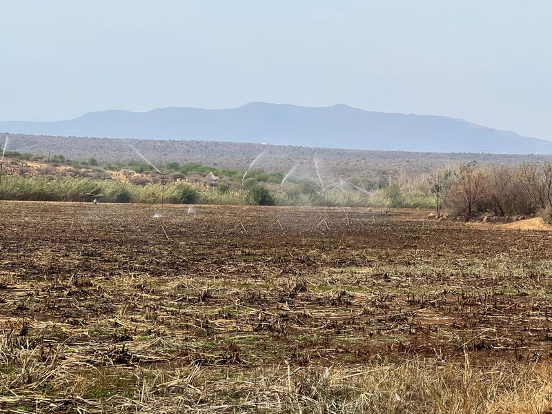 Expansive agricultural land featuring an active irrigation system with scenic mountain views in the background.