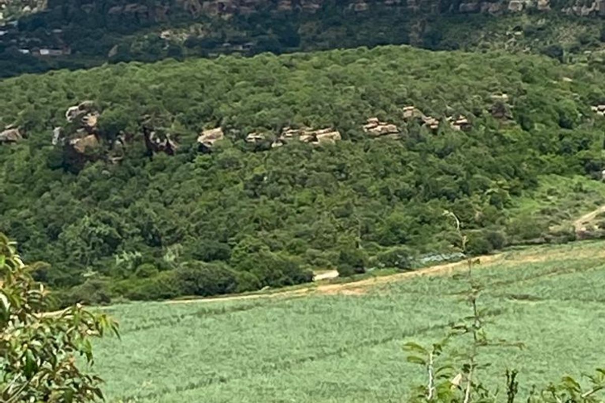 A scenic landscape view overlooking lush green fields, dense forest, and rocky hills in the distance.