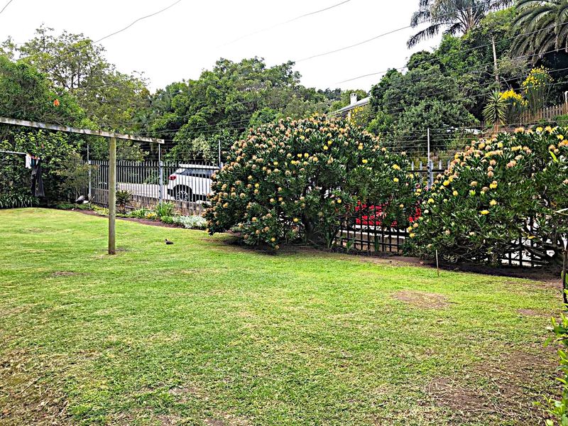 A private garden area featuring a well-maintained lawn, established flowering shrubs, and perimeter security fencing.