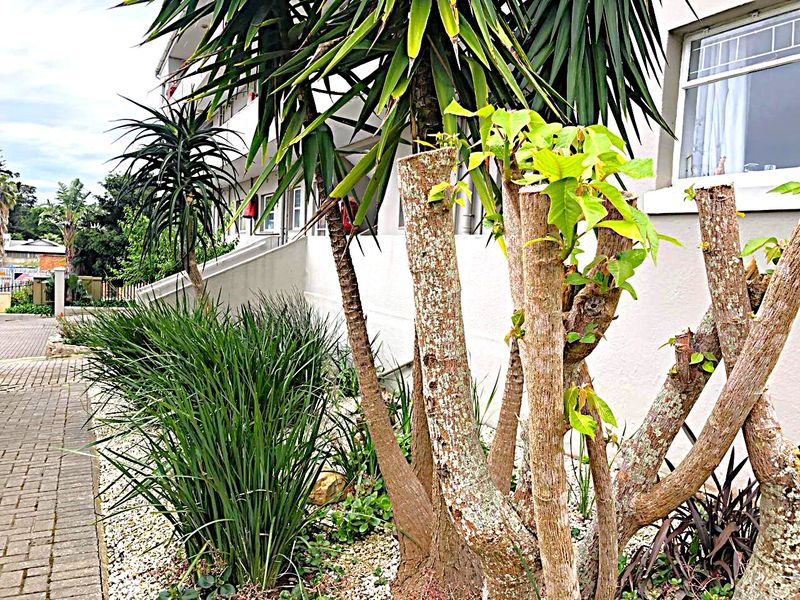 A view of the apartment building exterior featuring a paved driveway and a landscaped garden bed with mature trees and shrubs.