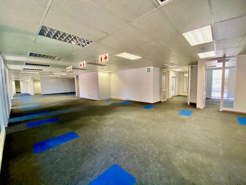 A large, vacant open-plan office space featuring suspended ceilings, recessed lighting, and carpeted flooring with multiple glass-partitioned entryways.