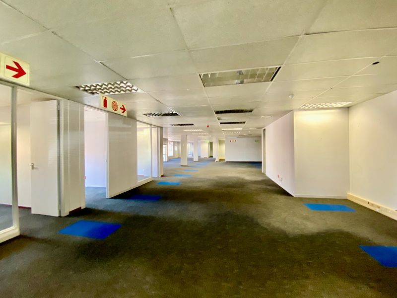 An expansive, vacant commercial office space featuring a suspended ceiling, recessed lighting, and glass partitions, ready for custom fit-out or refurbishment.