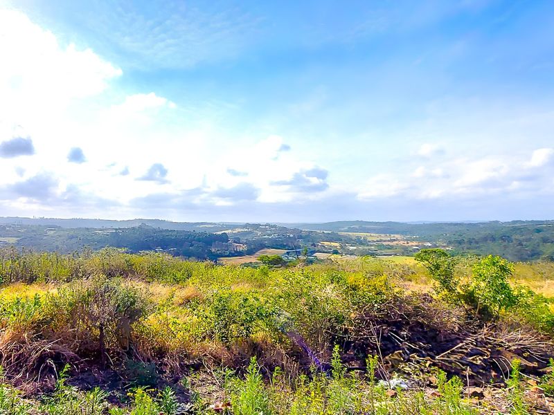 A scenic, elevated view overlooking the surrounding natural landscape and rolling hills, showcasing the expansive potential of the vacant residential land.