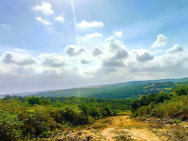 A scenic view of the natural landscape and rolling hills, showcasing the expansive outdoor environment of the vacant residential land.