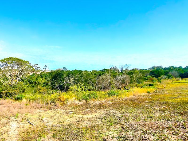 A view of a vacant residential plot featuring natural vegetation and cleared land, offering potential for future development.