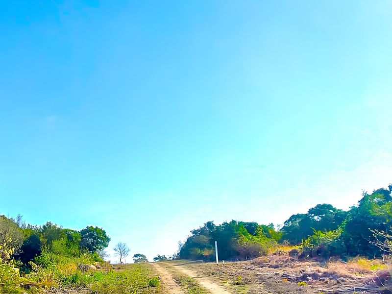 A view of a vacant residential plot featuring a dirt access path and surrounding native vegetation under a clear blue sky.