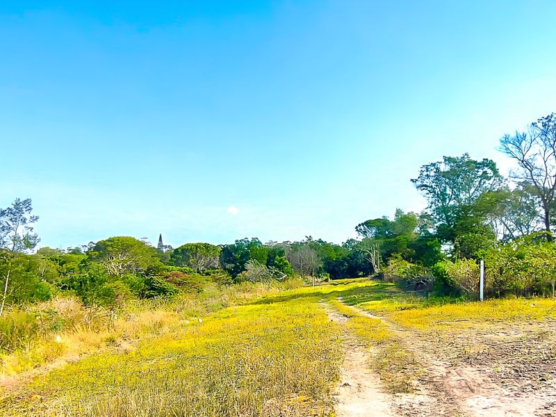 A view of a vacant residential plot featuring natural vegetation and a dirt access path.