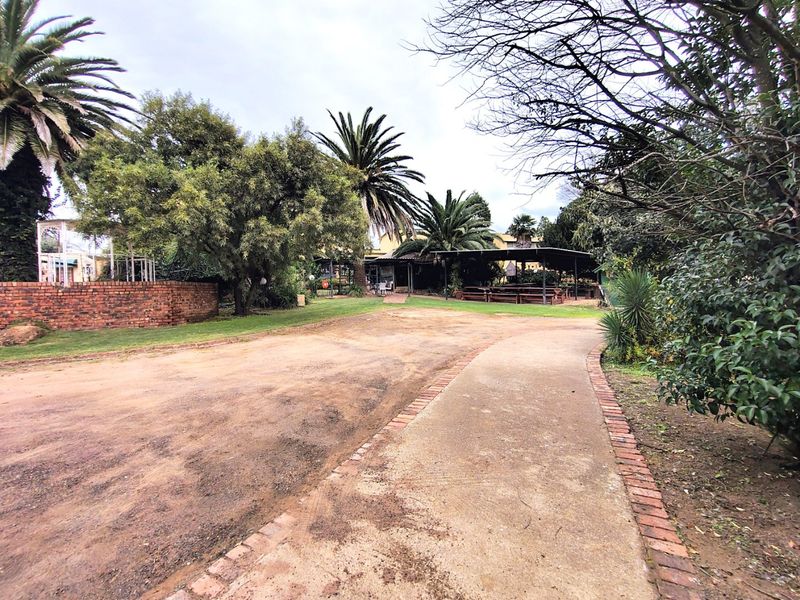 Spacious garden area featuring a paved walkway, mature palm trees, and a covered outdoor patio structure.