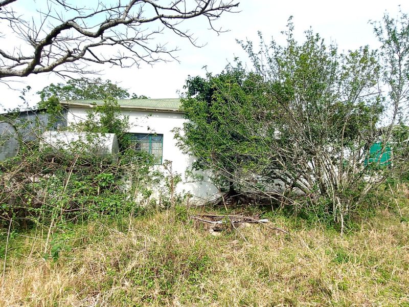 Rear view of a house structure heavily obscured by overgrown vegetation, featuring a metal roof and an external water storage tank.