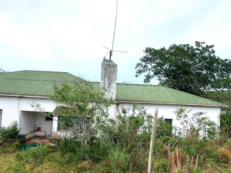 Rear view of a single-story house featuring a corrugated metal roof, masonry chimney, and security-barred windows, set within an overgrown garden area.