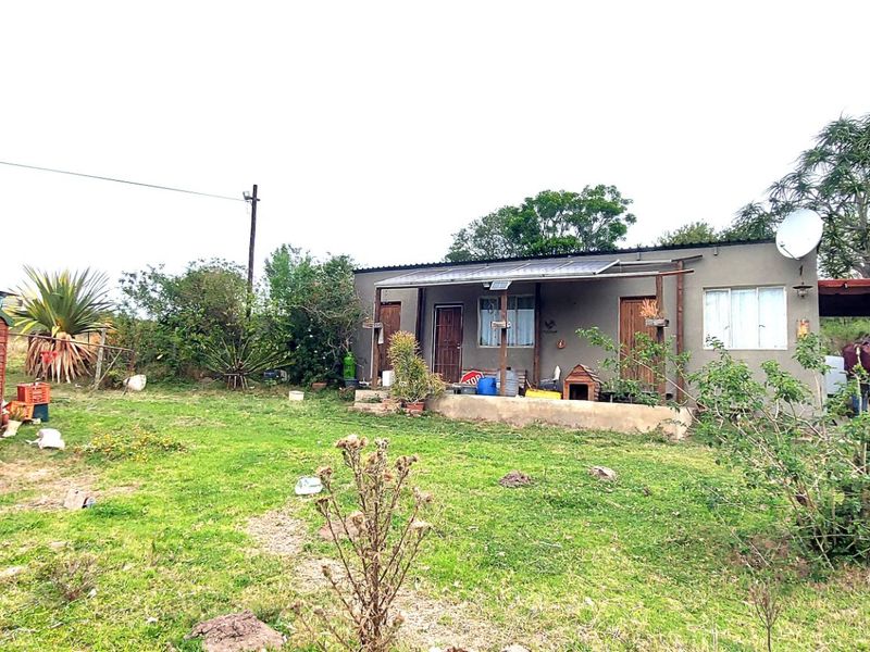Rear view of the property featuring a garden, a corrugated metal shed, a concrete patio, and a timber carport structure.