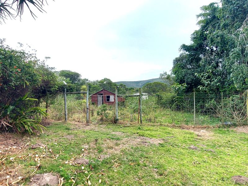 A large, overgrown garden area featuring wire mesh fencing, wooden posts, and a small, weathered wooden structure in the background.
