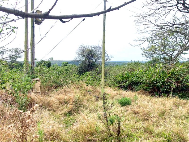 A view of the natural landscape and surrounding vegetation, featuring utility infrastructure including a pole and electrical box.