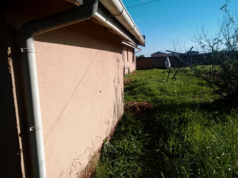 A view of the rear exterior of the house showing the side wall, guttering system, and an overgrown garden area.