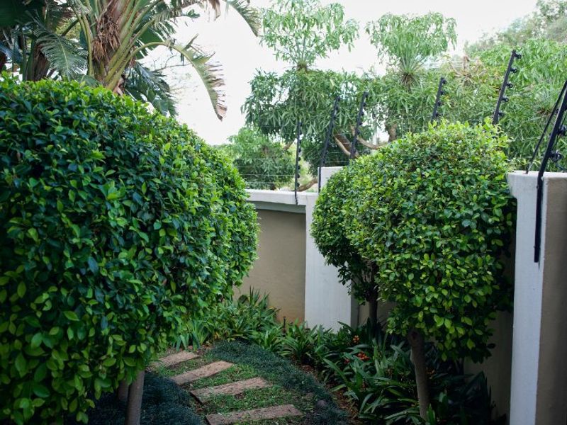 A well-maintained garden path featuring paved stepping stones, manicured shrubs, and secure boundary walls with integrated electric fencing.