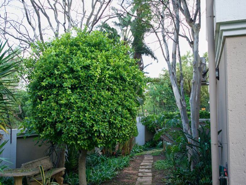 A landscaped garden path featuring stone pavers, mature trees, and established greenery alongside the side elevation of the property.