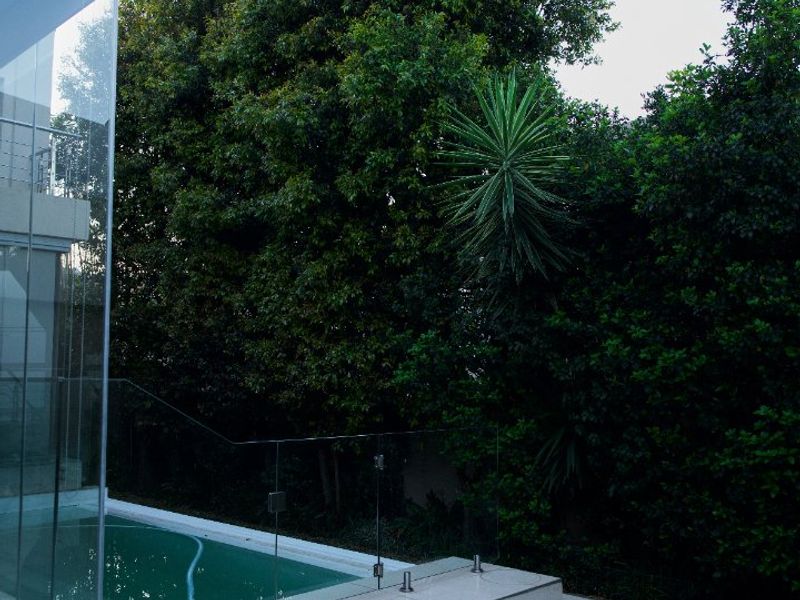 A modern outdoor pool area featuring a tiled patio, glass balustrade, and steps leading to a private garden with mature trees.