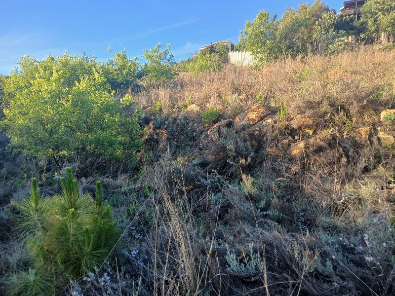 A view of the sloped, undeveloped residential land featuring natural rock formations and established native vegetation.