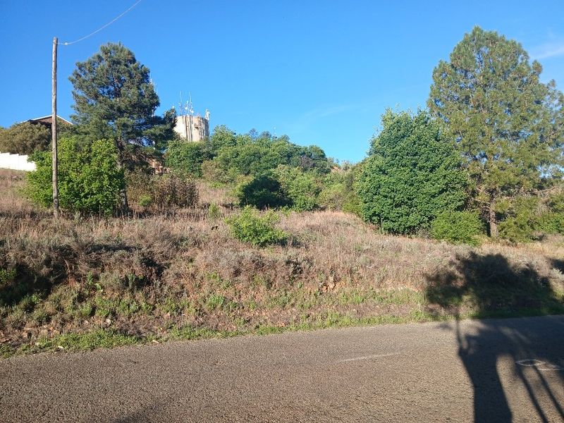 A view of a vacant residential plot featuring natural vegetation, mature trees, and access to an asphalt road.