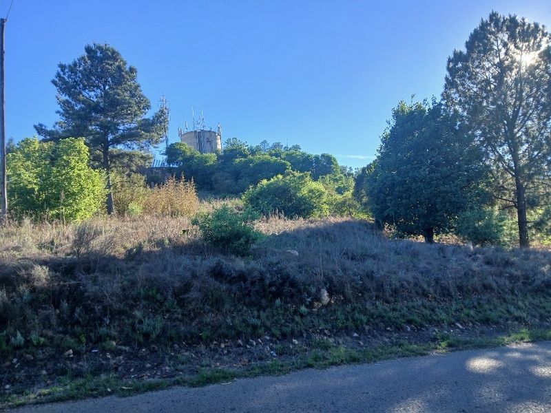 A view of a sloped, undeveloped residential plot featuring mature trees and native vegetation, with a distant view of a communications tower.