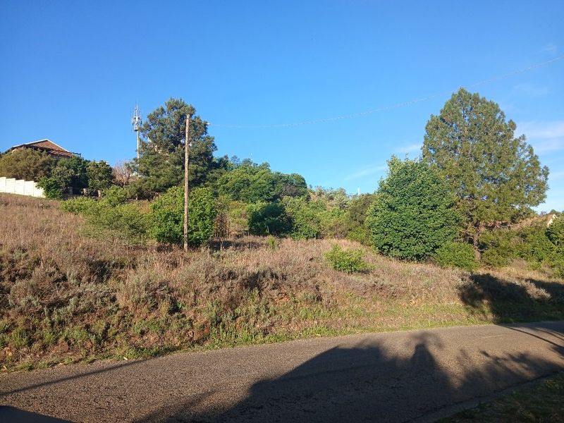 A view of the vacant residential land from the adjacent asphalt road, featuring natural vegetation, mature trees, and existing utility infrastructure.