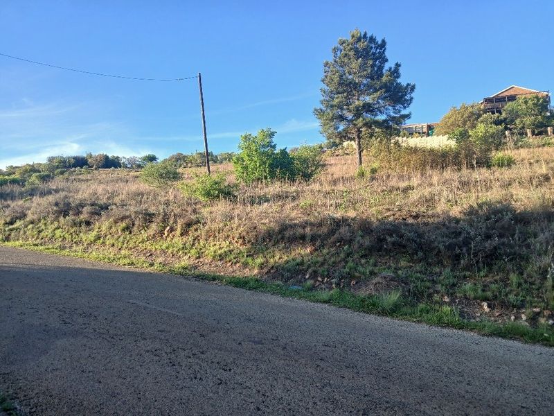 A view of the vacant residential land from the adjacent asphalt road, featuring natural vegetation and an existing utility pole.