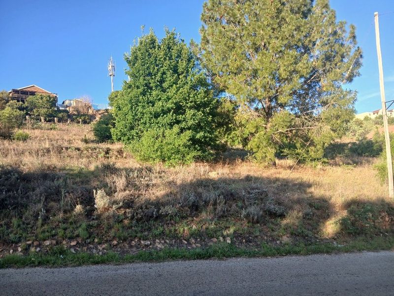 A view of a sloped, undeveloped residential plot featuring mature trees and natural vegetation, viewed from the adjacent road.