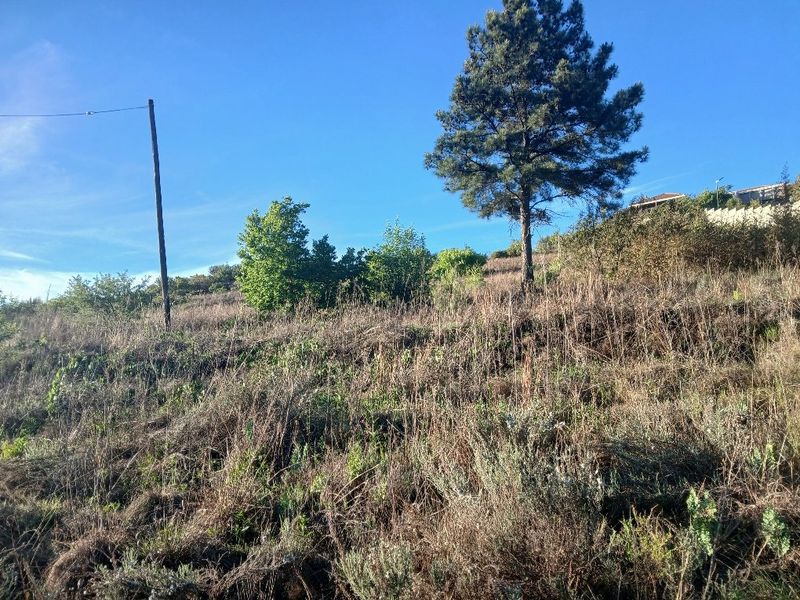 A view of a sloped, undeveloped residential land plot featuring natural vegetation and a utility pole.