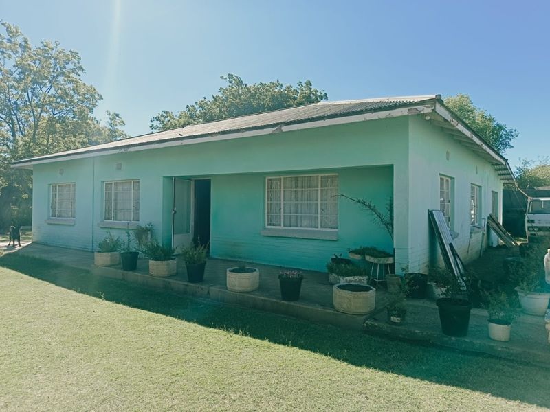 Rear view of a single-story house featuring a concrete patio, corrugated metal roof, and painted brick exterior walls.