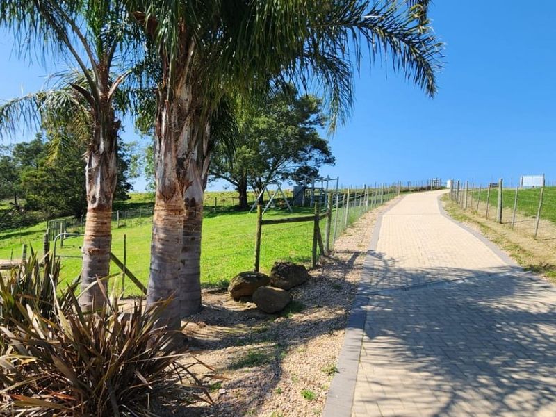 A paved driveway leading up a gentle slope, bordered by wire fencing and established palm trees in a rural setting.