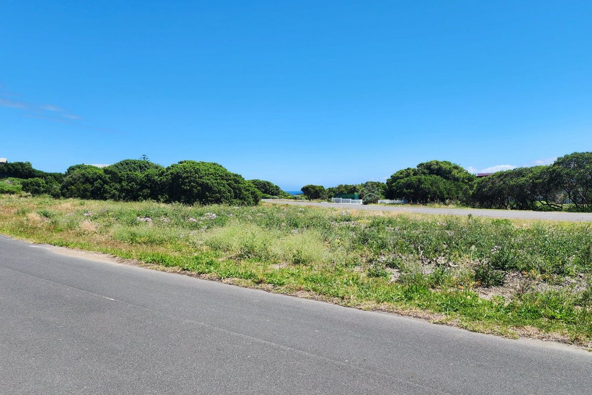 A view of the street frontage and surrounding natural vegetation on this vacant residential land plot.