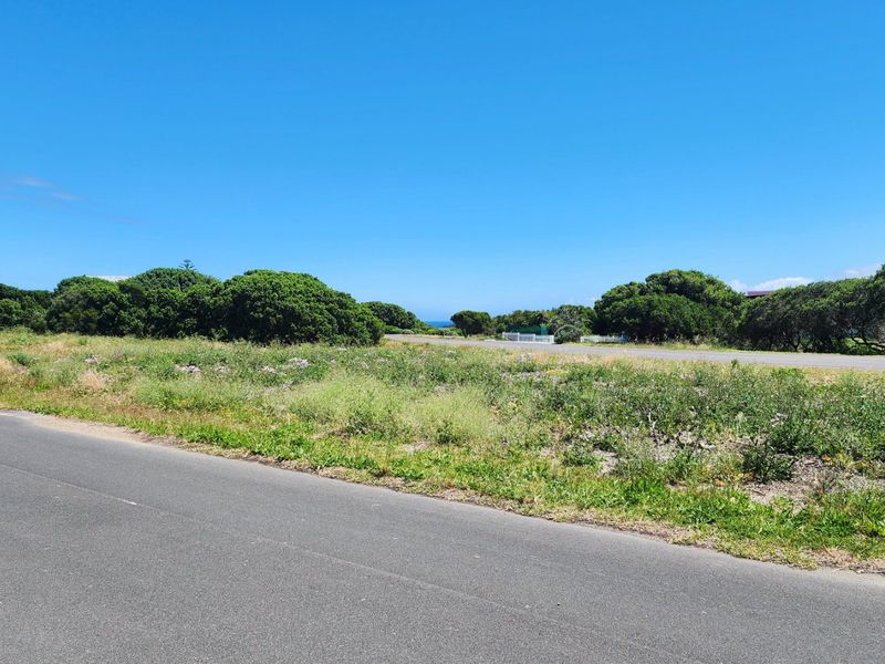 A view of the street frontage and surrounding natural vegetation on this vacant residential land plot.