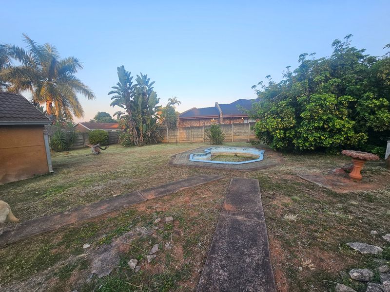 Rear garden area featuring an empty swimming pool, concrete pathways, and perimeter walling, requiring landscaping and pool maintenance.