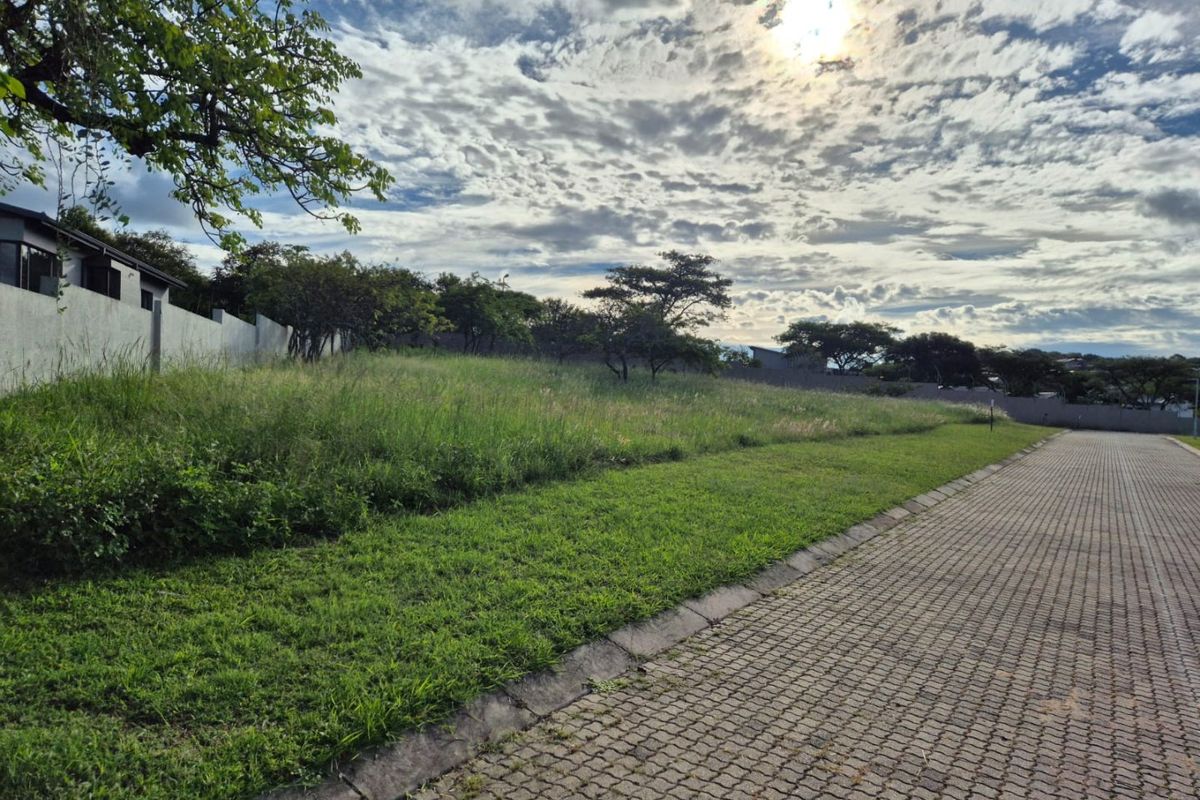 A view of a vacant residential plot featuring a paved driveway, perimeter walling, and established trees under a cloudy sky.