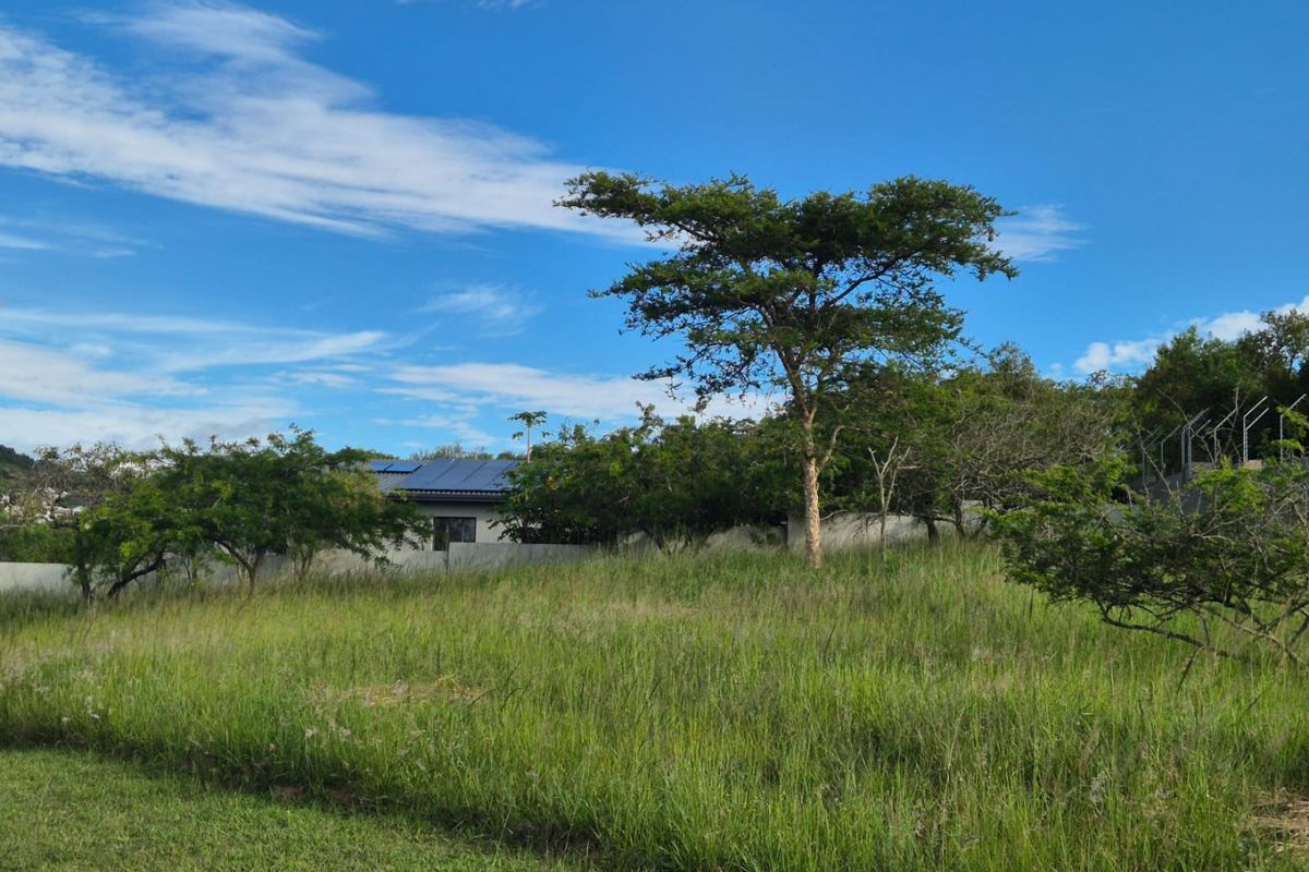A view of a vacant residential plot featuring established trees, natural grassland, and a perimeter wall boundary.