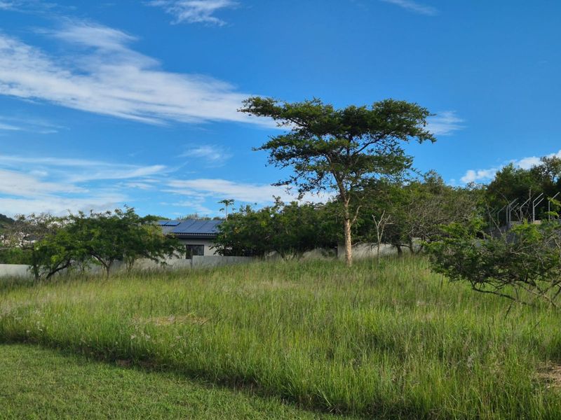 A view of a vacant residential plot featuring established trees, natural grassland, and a perimeter wall boundary.