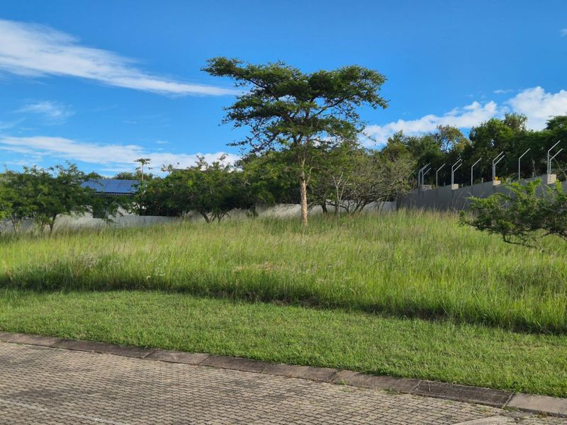 A vacant residential plot featuring established trees, a perimeter wall with electric fencing, and a paved street frontage.