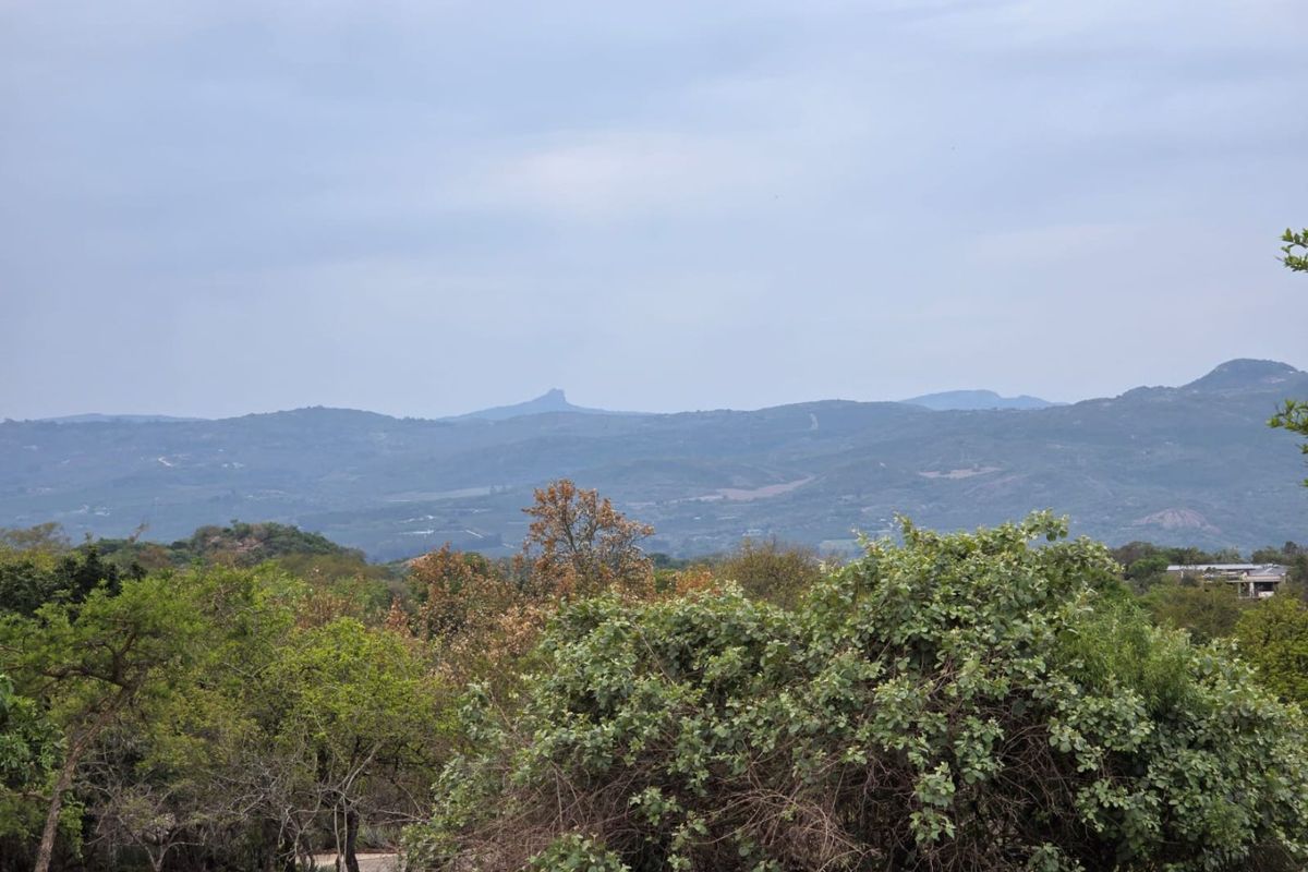 A scenic view of the surrounding mountain landscape and natural vegetation, showcasing the natural beauty of the property's location.