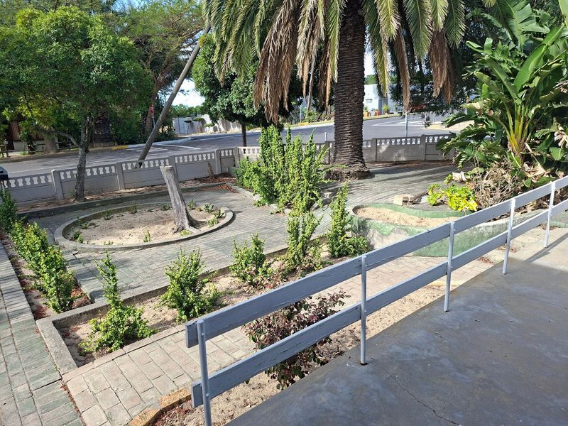 A landscaped garden area featuring paved walkways, established trees, and a concrete boundary wall with a timber railing.