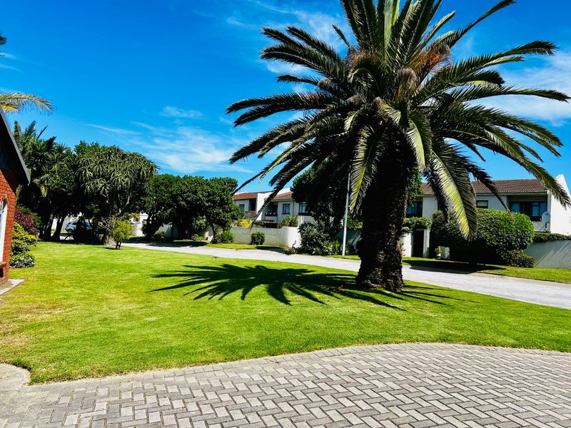 A well-maintained garden area featuring a large mature palm tree, manicured lawn, and paved driveway leading towards the residential property.