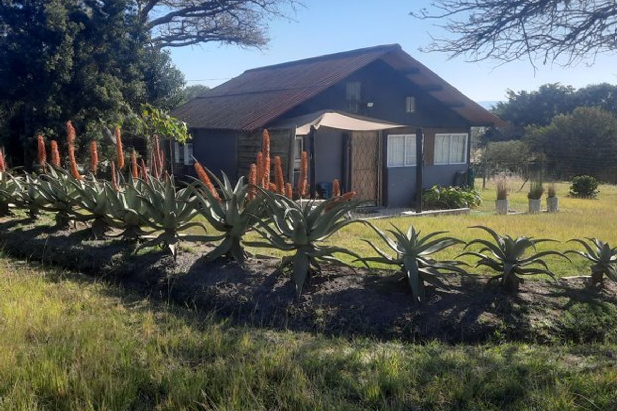 A detached cabin-style dwelling featuring timber cladding, a corrugated metal roof, and a front entrance with a security gate and awning.