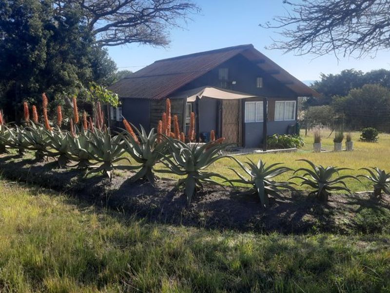 A detached cabin-style dwelling featuring timber cladding, a corrugated metal roof, and a front entrance with a security gate and awning.