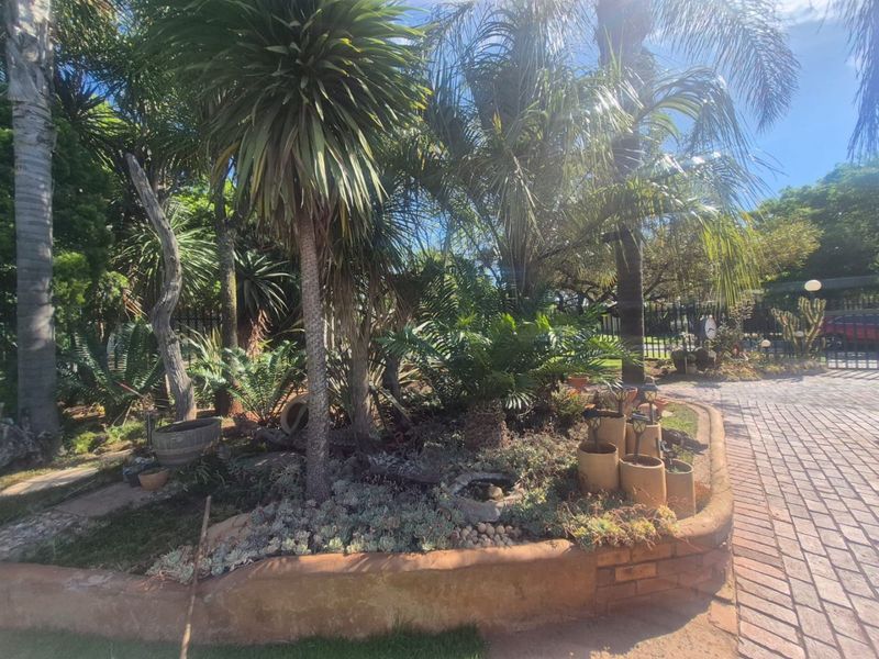 A landscaped front garden featuring mature palm trees, a raised brick garden bed, and a paved driveway area.