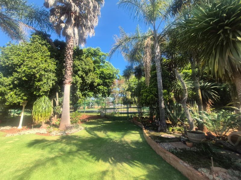 A well-maintained garden featuring mature palm trees, lush lawn, and secure metal perimeter fencing.