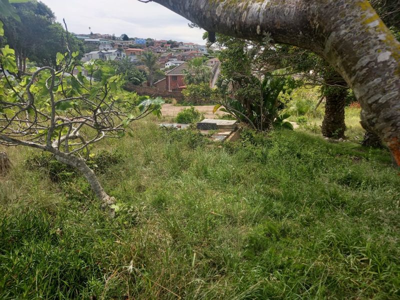 A view of a sloped, overgrown residential plot featuring mature trees and a concrete foundation slab, situated in a suburban neighborhood.